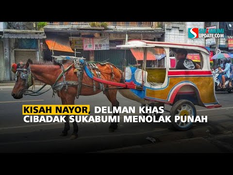 Kisah Nayor, Delman Khas Cibadak Sukabumi Menolak Punah