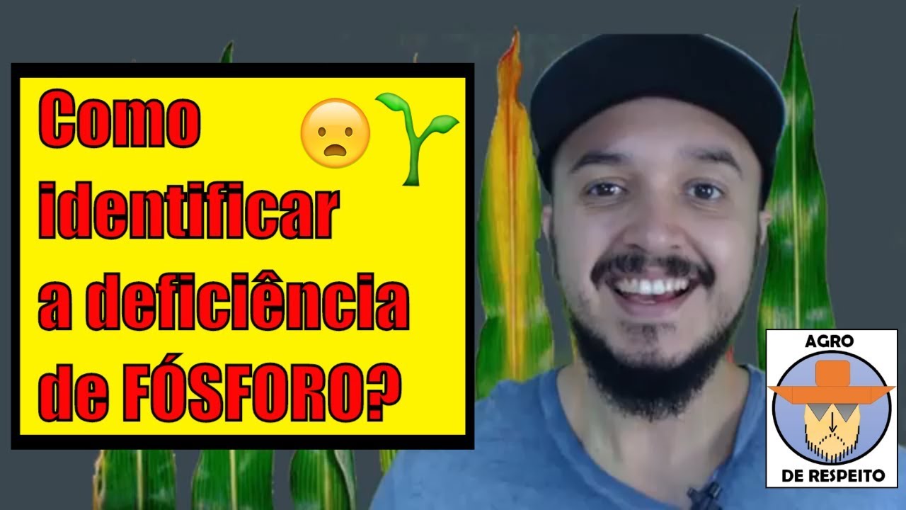 Como identificar a deficiência de FÓSFORO P nas plantas? SINTOMAS NUTRICIONAIS EP 2