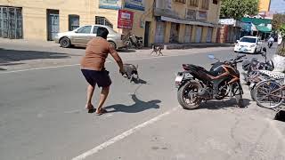 Catching pig 🐖 By Rope