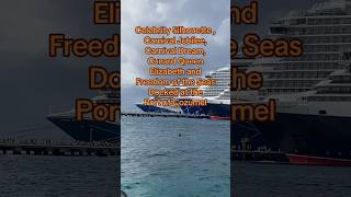 Celebrity Silhouette, Carnival, Cunard and RC ships docked at Cozumel