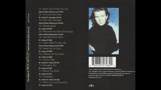 Rick Astley - Never Knew Love [Sakgra PW Elle Mix]