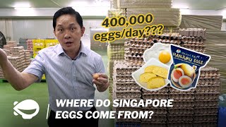 [問卦] 為什麼新加坡的蛋價那麼便宜?