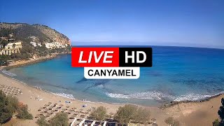 Live Webcam Son Moll Beach ☀️ Cala Ratjada 🏖️ Mallorca 🌎 Baleares 🅻🅸🆅🅴 live webcam