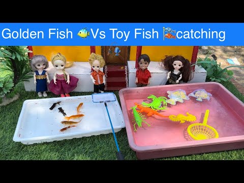 Golden Fish 🐠Vs Toy Fish catching #chuttibomma #chintuvideo #treehouse #classicminifood