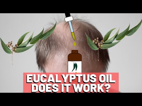 Eucalyptus Oil For Hair Growth - Does It HELP?