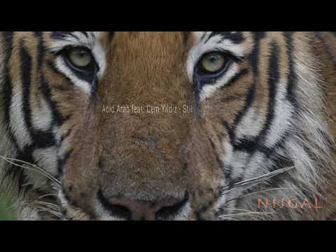 Acid Arab feat  Cem Yildiz - Stil