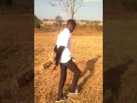 Young s scorpion musicvid