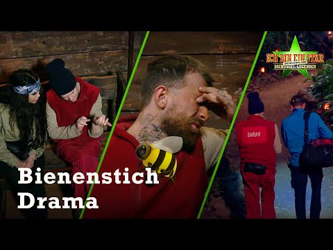 SCHOCK im Camp: Wurde Sarah von einem GIFTIGEN TIER gestochen? 😳| Legenden-Dschungelcamp