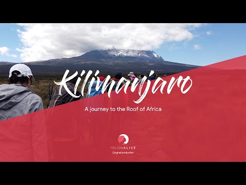Climbing Kilimanjaro Vlog | 4K | My journey to the Roof of Africa
