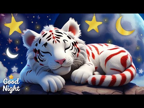 Relax In No Time video