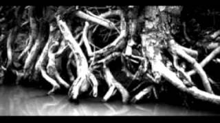 Nucleus Roots - Sunrise
