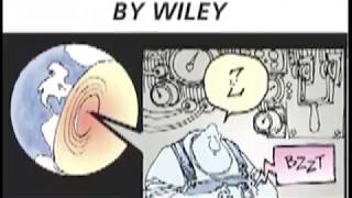 NON SEQUITUR BY WILEY