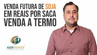 Venda futura de soja em reais por saca - Venda a Termo