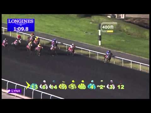 08.11.2012 Meydan (Dubai-UAE) 2.Race Emirates Holidays - 1.400 m