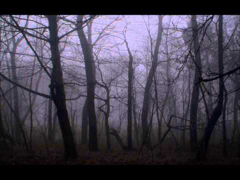 Dark Creepy Ambient Music #13 - Crooked Creatures On The Hunt