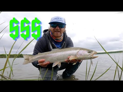 Fly Fishing on a BUDGET