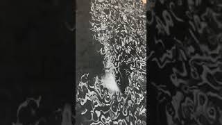 Černý smoke ghost carbon 150cm x 50cm