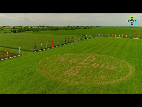 Bayer Agro Arena 2021 - Comloșu Mic