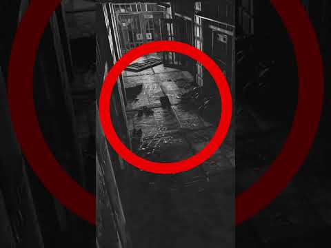 New SECRET Poppy Playtime VHS Tape🫣 #poppyplaytime