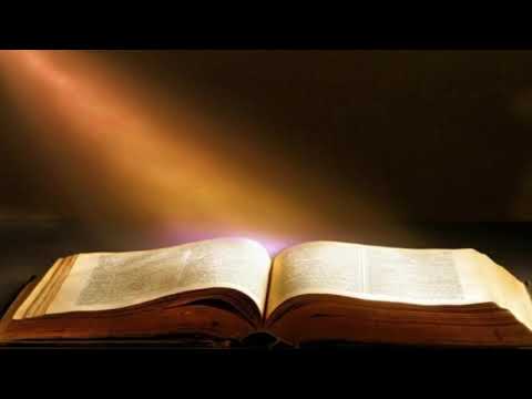 Ismael Misiedjan - Membee