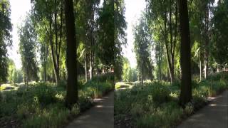 preview picture of video 'Aschersleben Stadtpark Stereo 3D'