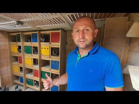 Piotr Bugała - PZHGP 0153 Ruda Śląska II / Phenomenal flight of Bugała!