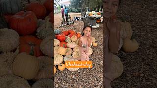 サンディエゴから車で1時間🚗🍂小さな街ジュリアンで、娘と秋を満喫しました🍎 #アメリカ生活 #サンディエゴ #海外在住ママ #vlog #国際結婚