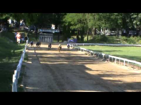 CZECH DERBY TRIAL STAKES - Dopping Mick Jagger