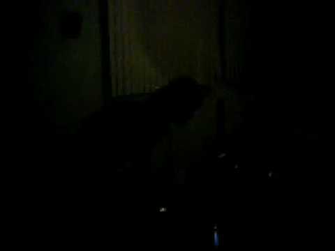 Endometrium Cuntplow Live at the Pharaoh's Den 2-21-09 Part 1