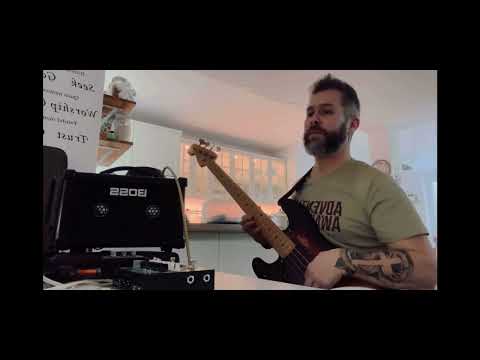 Boss Dual Cube Bass LX Batterie Amp