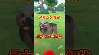 【注意】⚠️知らないと大損⚠️仕様変更に注意！人気のあのポケモンが登場！新たなメガレベル解放と2回のスポライも開催！チームメガが開催【ポケモンGO】#ポケモンGO #島名なまし　#チームメガ