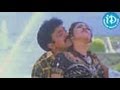 Maa Annayya Movie Songs Pilla Bhale Song Rajasekhar Meena Maheshwari