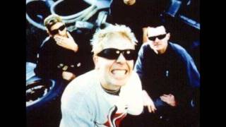 The Offspring - Special Delivery