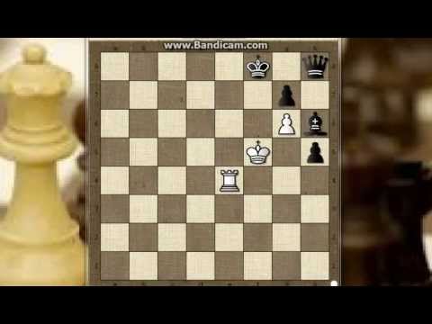 Šahovske studije i završnice - KUBBEL - br 3 -  beli igra i izvlaci PAT # 191 sah i mat