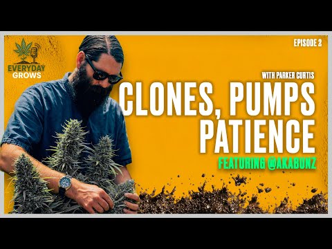 Top Feed, Drain to waist, Clones, Irrigation and Patience | Everyday Grows | Ep 2