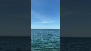 Download lagu Tenang Ribut Jiwa😊 mp3 Download lagu Tenang Ribut Jiwa😊 mp3