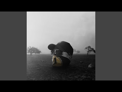 Video thumbnail for VÄSTERORT 4 LIFE