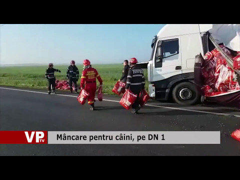 Mâncare pentru câini, pe DN 1