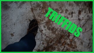 The Day Of The Triffids