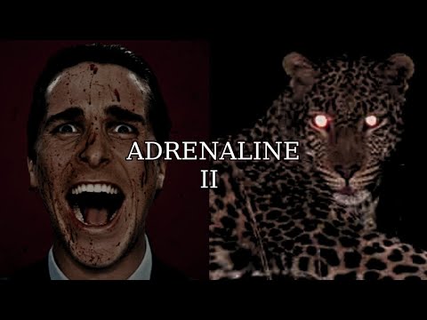 ADRENALINE II - motivational speech for success in life