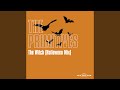 The Witch (Halloween Mix)