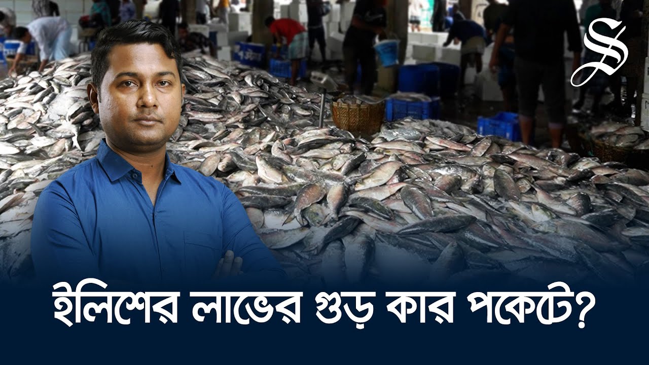 আহরণ বাড়লেও কেন দাম কমছে না ইলিশের?