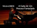 A Gaita de Um Precoce Fantasiado • Villa-Lobos • Pablo Rossi - Villa-Lobos Channel A Gaita de Um Precoce Fantasiado • Villa-Lobos • Pablo Rossi