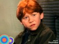 Weasley Is Our King Ron Weasley