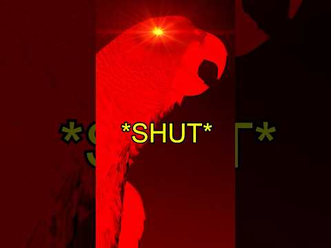 Scolding the Little Birds 🤭