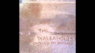 The Walkabouts - They Are Not Like Us
