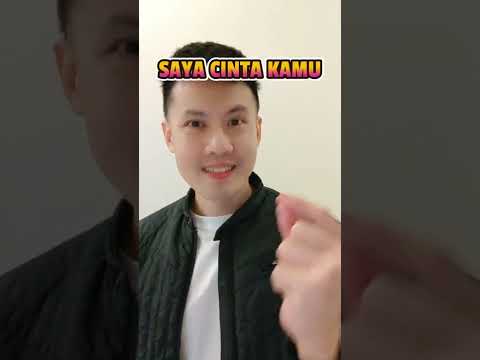 How do you say 'I love you' in Malay? #learnmalay