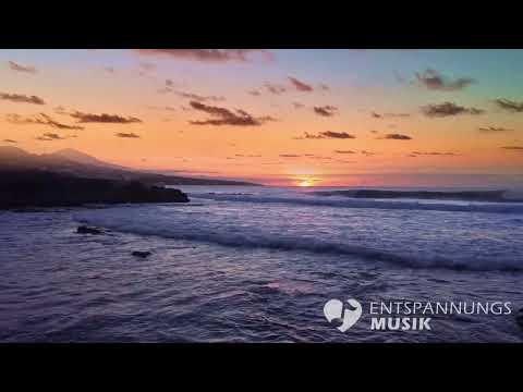 Entspannendes Meeresrauschen und kreischende Möwen - wunderschöner Sonnenuntergang am Strand
