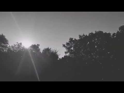 Jon Mullins - Heartless (Official Lyric Video)