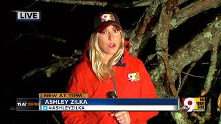 Storms smash ceilings, down trees